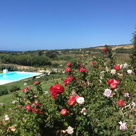 Villa Enga: With Pool, In Front Of The Sea And In The Middle Of Wineyards