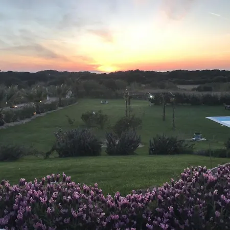 Enga: With Pool, In Front Of The Sea And In The Middle Of Wineyards Villa